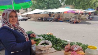 5 çocuk annesi, asma yaprağı satarak aile ekonomisine destek oluyor