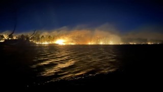 ABDde orman yangını: 20 bin 425 dönümlük alan kül oldu