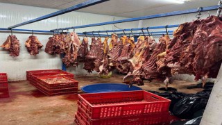 Adanada 3 ton bozulmuş at eti ele geçirildi