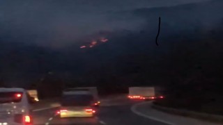 Adanada iki noktada çıkan orman yangınları kontrol altına alındı