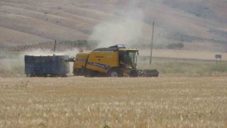Adıyamanda hububat hasadı arpa ile başladı