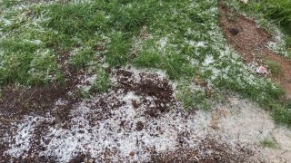 Afşinde dolu tarım arazilerine zarar verdi