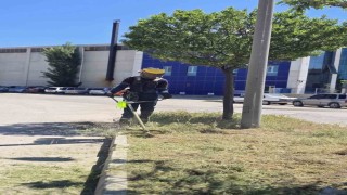 Afyonkarahisar OSBde yeşil dönüşüm ve altyapı çalışmaları sürüyor