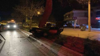 Ağaca çarpan otomobilin sürücüsü hayatını kaybetti