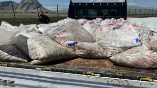 Ağrıda 2 ton kaçak inci kefali ele geçirildi