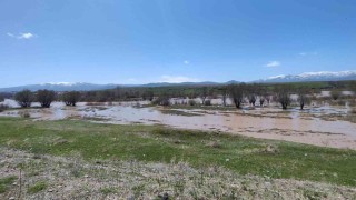 Ağrıda Murat Nehri taştı araziler sular altında kaldı