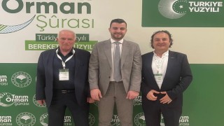 Ahşap palet sektöründen 18. madde çağrısı: Palet havuzu modeli için hazırız