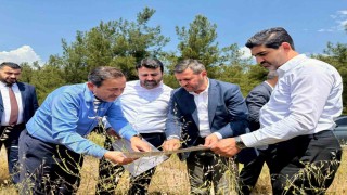 AK Parti heyetinden TCDD gar sahasının taşınacağı Kızılcaören bölgesinde inceleme