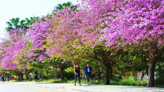 Akdeniz Üniversitesi Çevre Hizmet Ödülleri açıklandı