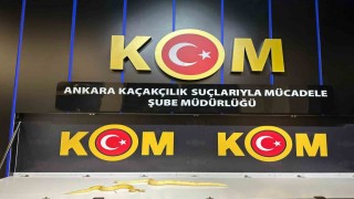 Ankara merkezli 5 ildeki operasyonlarda 96 egzotik hayvan ele geçirildi