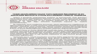 Ankara Valiliğinden hobi bahçelerine ilişkin karar: Kaçak yapılara yasak