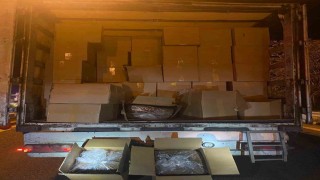 Ankarada 11 ton kaçak tütün ele geçirildi