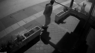 Ankaradaki kedi hırsızlığı kameraya yansıdı