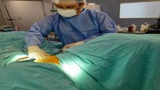 Anne karnındaki sıvı karaciğeri koruyor