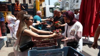 Antalya Büyükşehirden annelere 25 bin çiçek