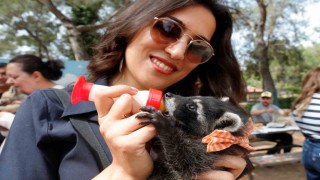 Antalya Doğal Yaşam Parkında annesiz misafirlere Anneler Günü kutlaması