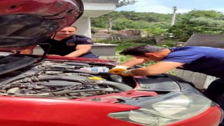 Araç motorundan çıkan sürpriz yüzleri gülümsetti