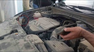 Aracın motoruna giren yavru kedi telefondan miyavlama sesi açılarak çıkartıldı