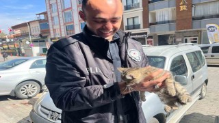 Aracın motoruna giren yavru kediyi polis kurtardı