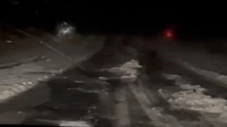 Ardahanda dolu etkili oldu