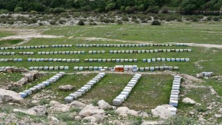 Arıcılar doğal bal için yollarda
