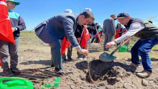 Arpaçayda meyve fidanları toprakla buluştu