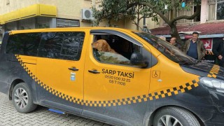 Artvinde sıra dışı taksi deneyimi