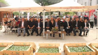 Atıl tarım arazilerinde sebze yetişecek