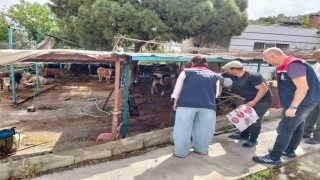 Aydında kurban satış ve kesim yerleri denetlendi