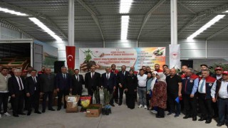 Aydında TAKE Projeleri kapsamında çiftçilere fide ve tohum dağıtıldı
