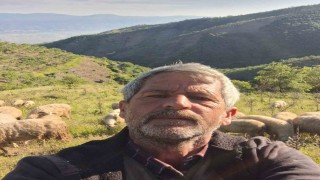 Aydında Yörüklerin yayla yolculuğu başladı