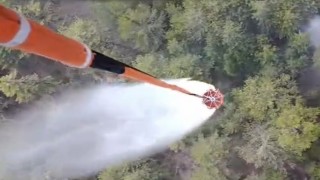 Aydındaki orman yangını kontrol altına alındı