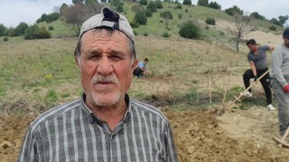 Bağlar elbirliğiyle belleniyor