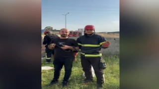 Osmaniye’de Yakaladıkları Yılana Su İçirdiler