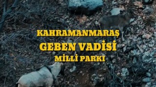 Bakan Yumaklı: Kahramanmaraş Geben Vadisi, milli park statüsüne kavuştu