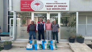 Bakanlığın yüzde 75 hibesiyle 73 üreticiye kuru fasulye tohumu verildi