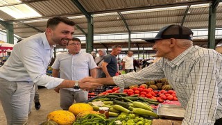 Baldo Pirinci ve Kapıdağ Zeytinyağına coğrafi işaret müjdesi