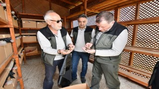 Balıkesirde Gal Arısıyla mücadele sürüyor