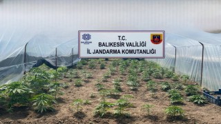 Balıkesirde jandarmadan organize suçlara karşı geniş çaplı operasyon