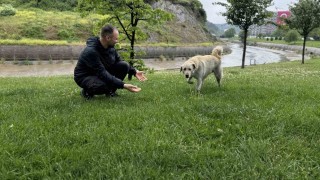 Bankada mahsur kalan köpek alarm sistemini devreye soktu: Çevredekiler hırsız var sandı
