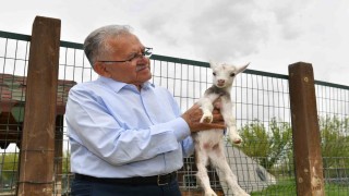 Başkan Büyükkılıç, hayvanat bahçesini ziyaret etti