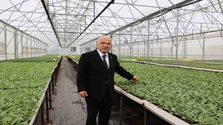 Başkan Güler: 5 yılda kendi ürettiğimiz 4 milyon adet fideyi üreticilerimize dağıttık