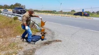 Başkan Sürücü: Çok nadir ve önemli bir türü daha kaybettik