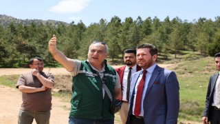 Başkan Tatık, Tavası yayla turizmiyle tanıştırmak için kolları sıvadı
