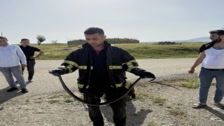 Batmanda tavan arasına giren yılan paniğe neden oldu