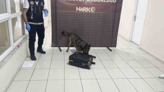 Batmanda uyuşturucu dolu valiz Hektora takıldı