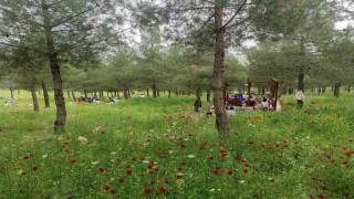Batmandaki Malabadi Tabiat Parkına yoğun ilgi