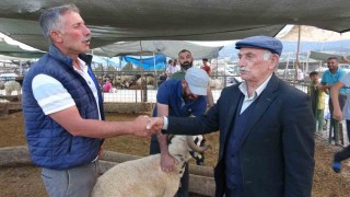 Bayram yaklaştı, kurban pazarında kıran kırana pazarlık başladı