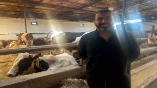 Bayrama sayılı günler kala bazı üreticide kurbanlık hayvanlar tükendi