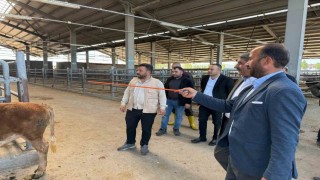 Belediye Başkanı canlı hayvan borsası ve et entegre tesisinde incelemelerde bulundu.